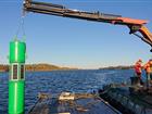 Crane lifts green bouy into the water